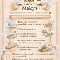 Diseño promocional de Maky's Spa Boutique