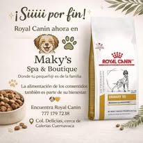 Ilustración de mascota consentida