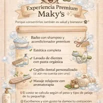 Helado para perros y gatos disponible en Maky's